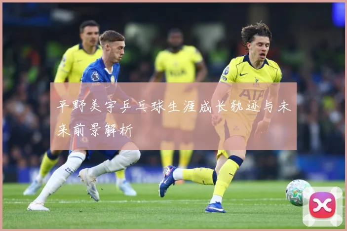 平野美宇乒乓球生涯成长轨迹与未来前景解析