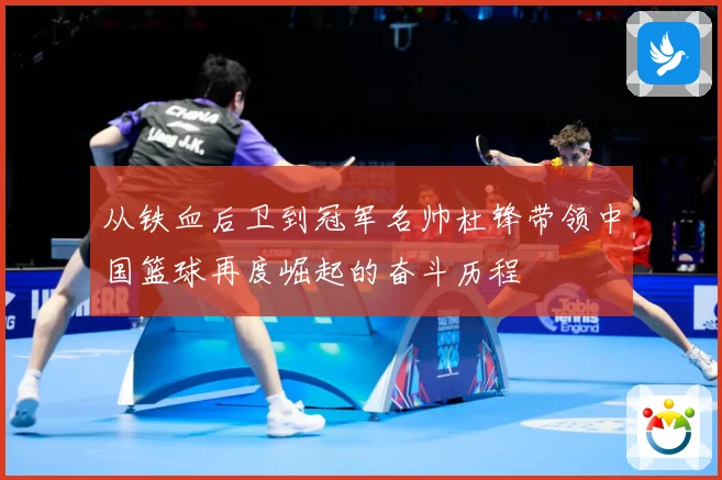 从铁血后卫到冠军名帅杜锋带领中国篮球再度崛起的奋斗历程